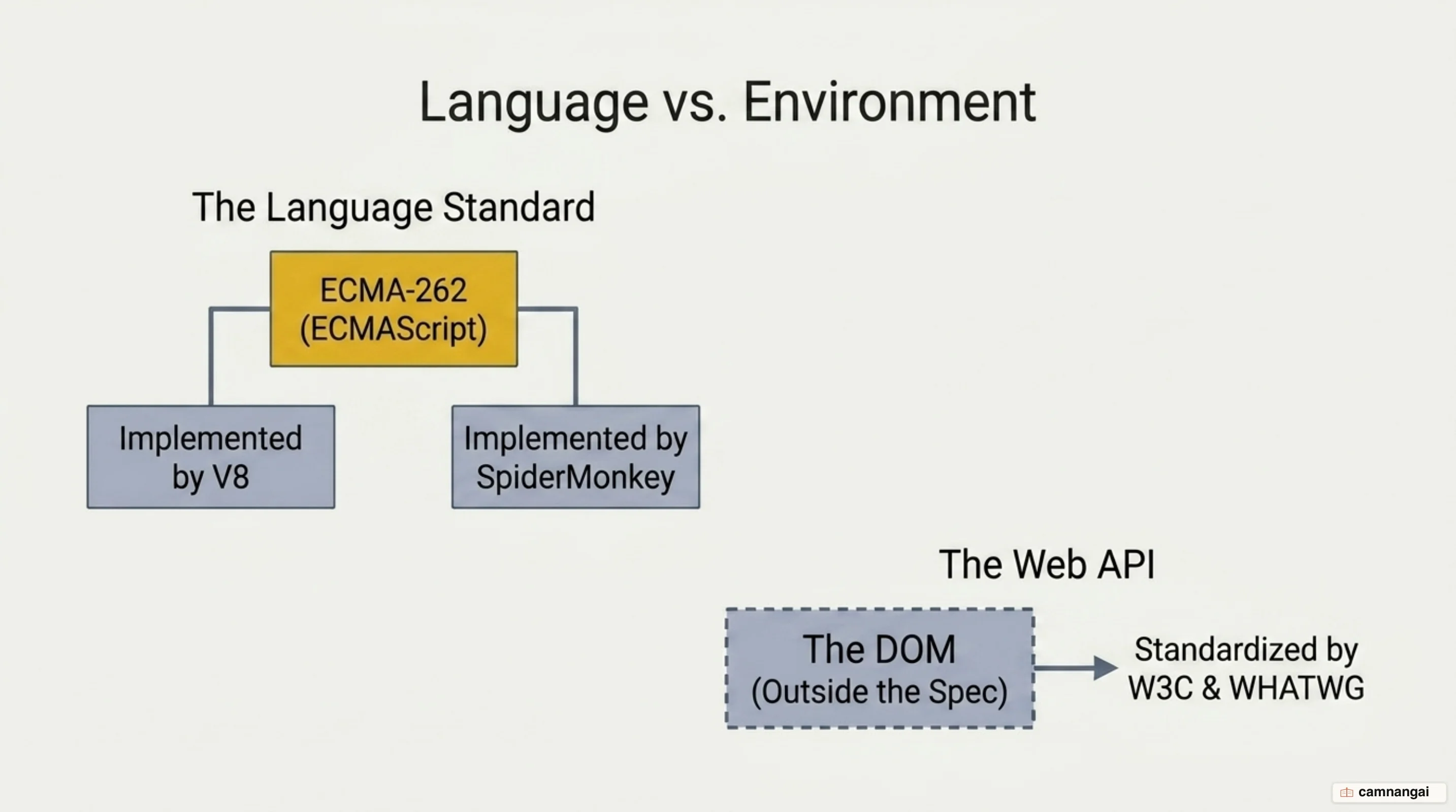 The ECMA-262 specification defines the language, engines like V8 and SpiderMonkey implement it, and the DOM is standardized by W3C and WHATWG