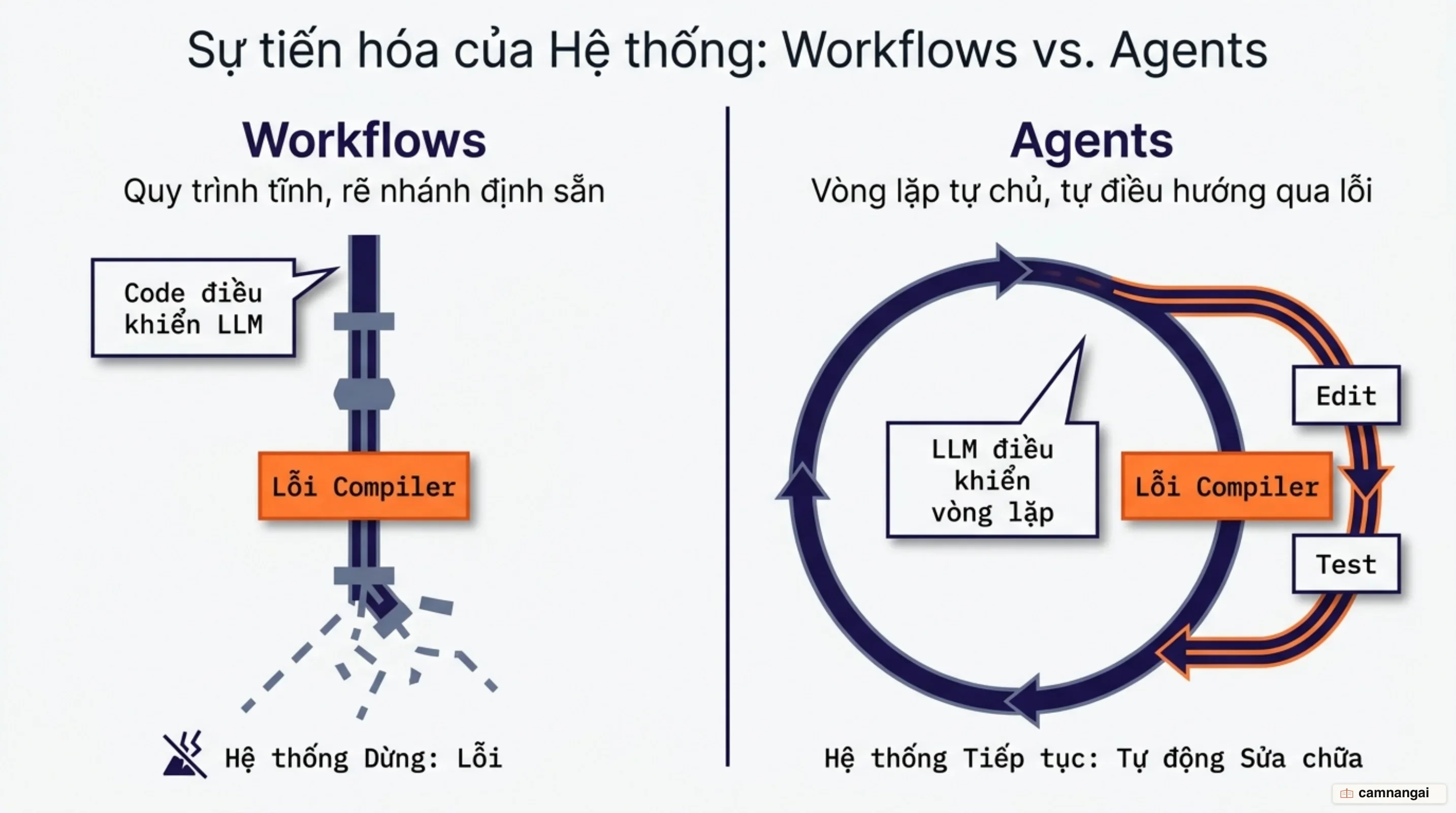 Mô hình Workflows cố định so với vòng lặp Agents tự chủ điều hướng qua lỗi runtime