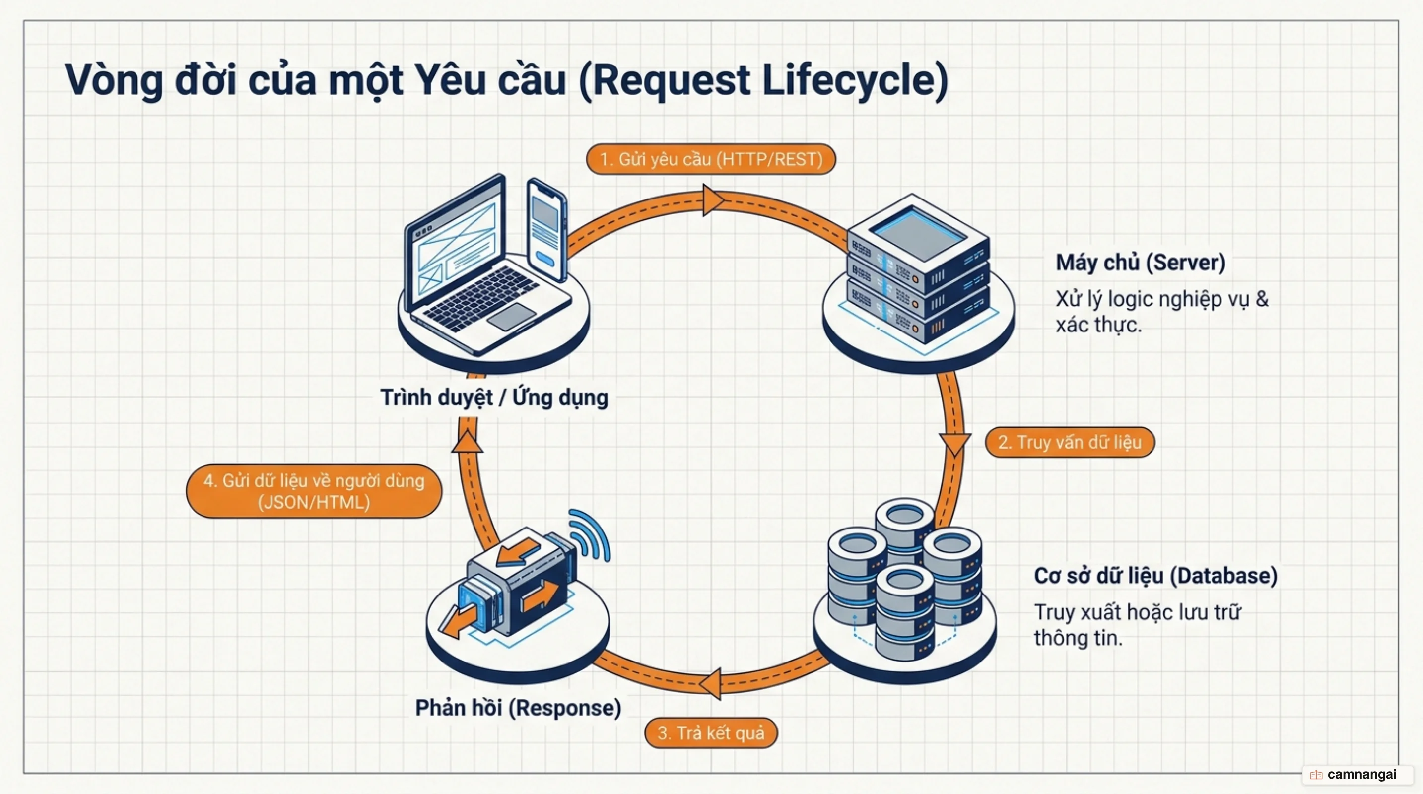 Đường đi của một yêu cầu: từ trình duyệt tới máy chủ, truy vấn cơ sở dữ liệu rồi trả phản hồi về trình duyệt