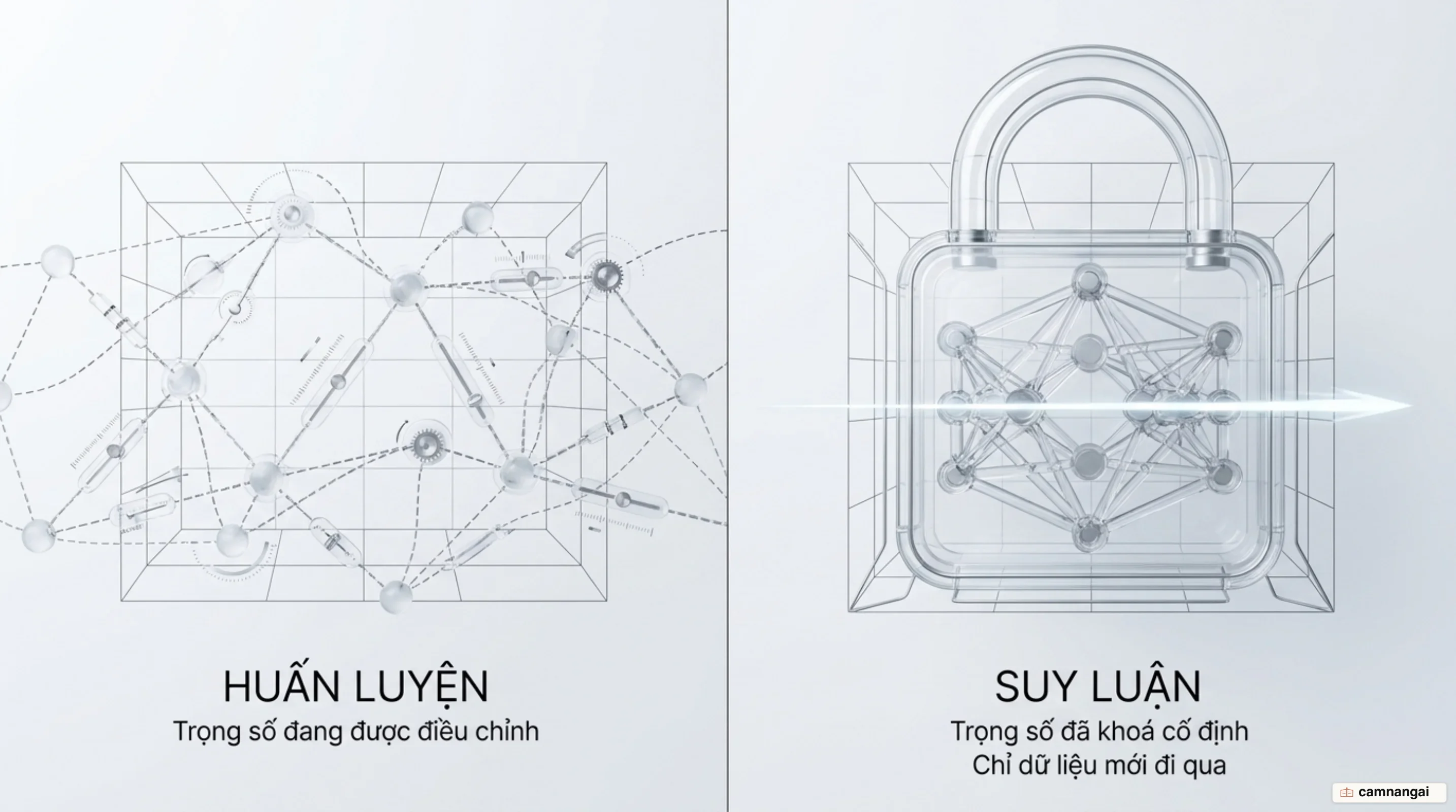 Hai bên đối lập: bên huấn luyện có các trọng số đang được điều chỉnh liên tục, bên suy luận có trọng số đã khoá cố định và chỉ nhận dữ liệu mới đi qua