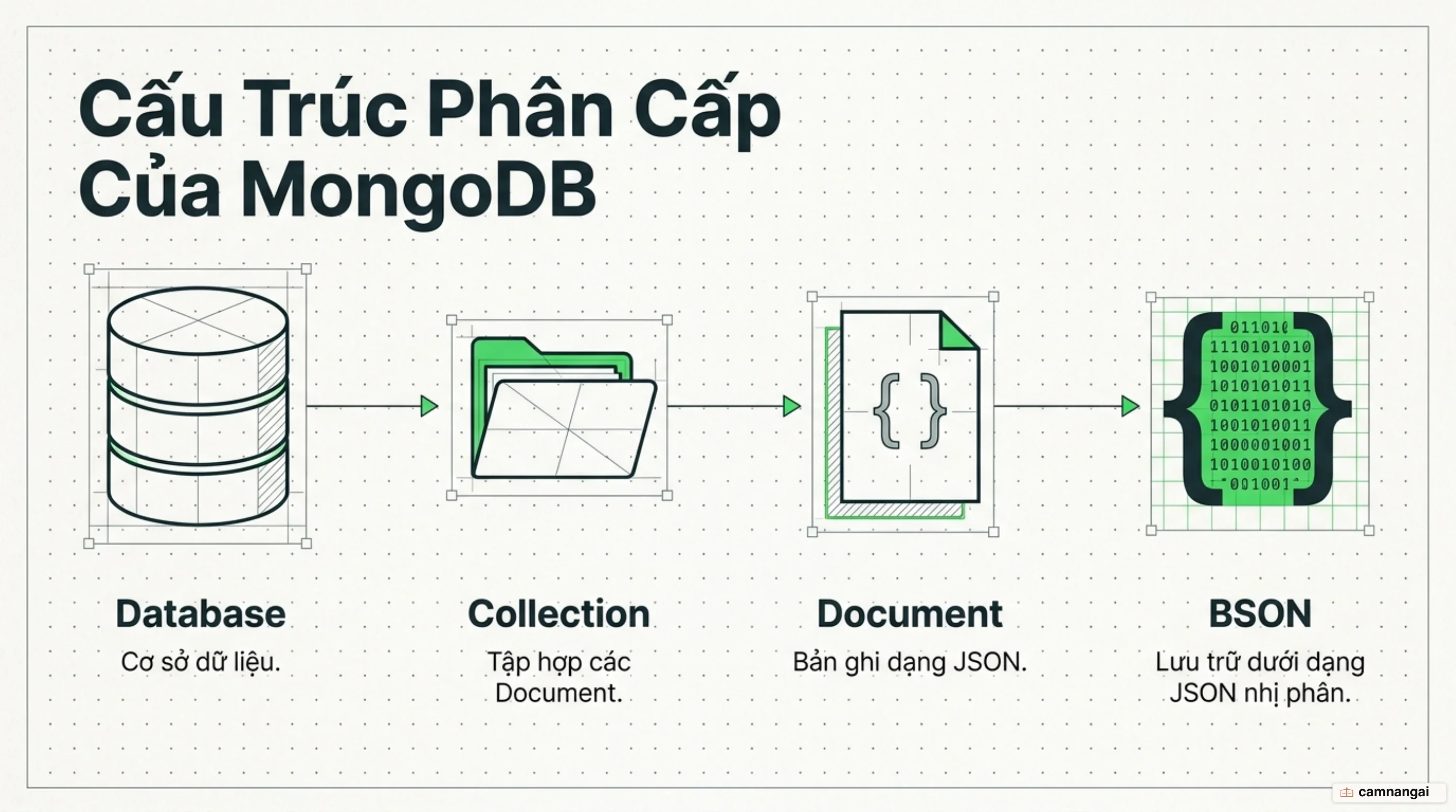 Cấu trúc phân cấp của MongoDB: document nằm trong collection, collection nằm trong database, dữ liệu lưu xuống đĩa dưới dạng BSON