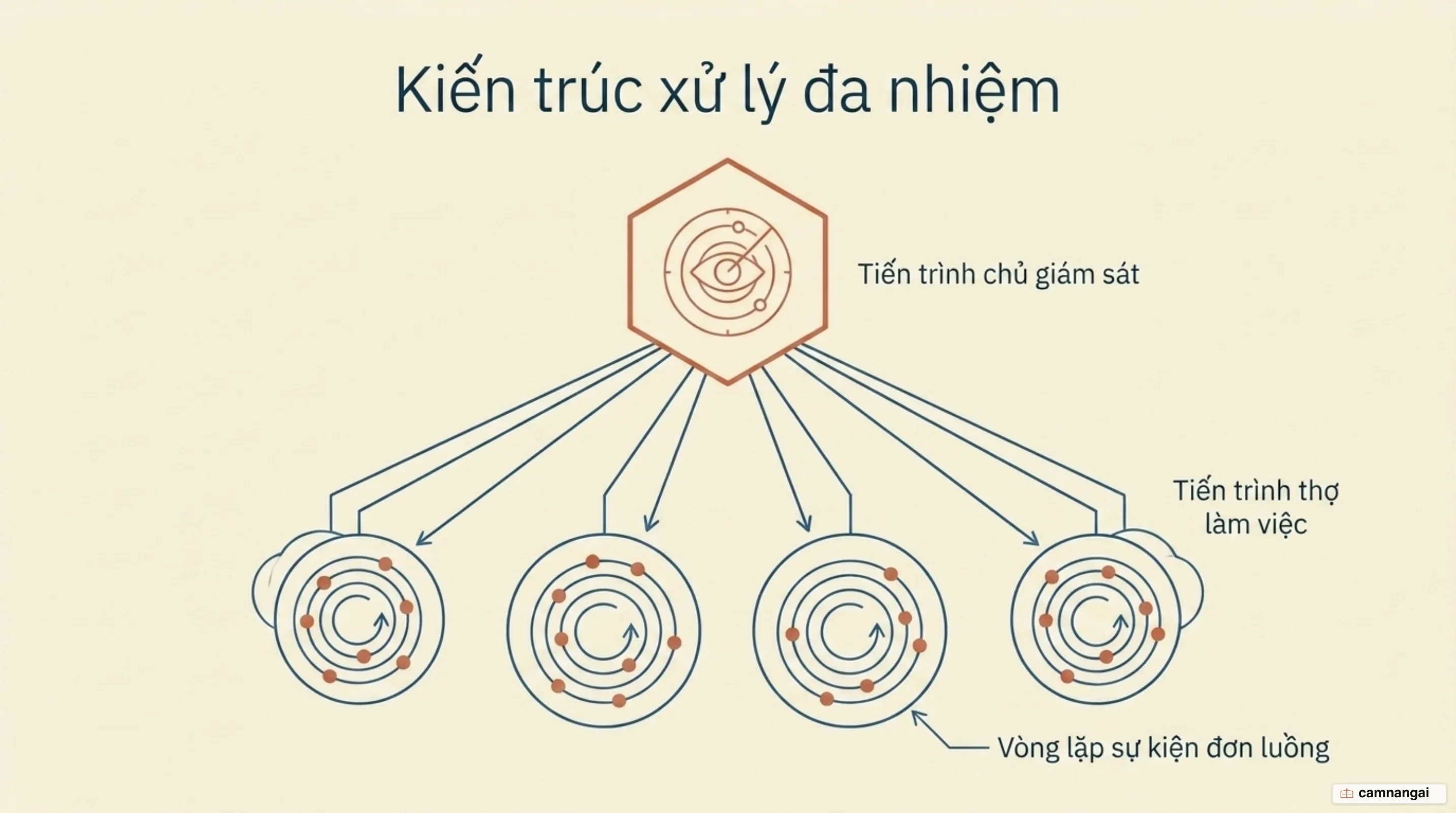 Một tiến trình master giám sát nhiều worker process, mỗi worker chạy một vòng lặp sự kiện đơn luồng phục vụ hàng nghìn kết nối