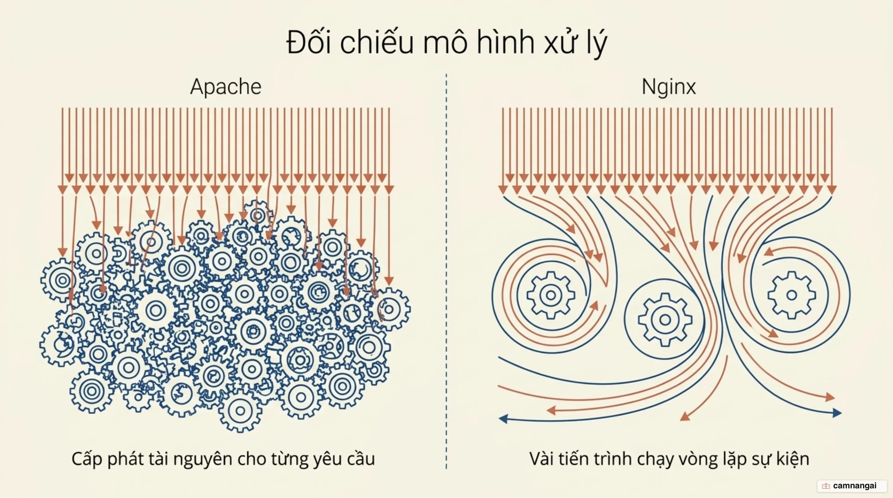 So sánh hai mô hình xử lý kết nối: Apache cấp một tiến trình hoặc luồng cho mỗi yêu cầu, Nginx dùng vài worker chạy vòng lặp sự kiện