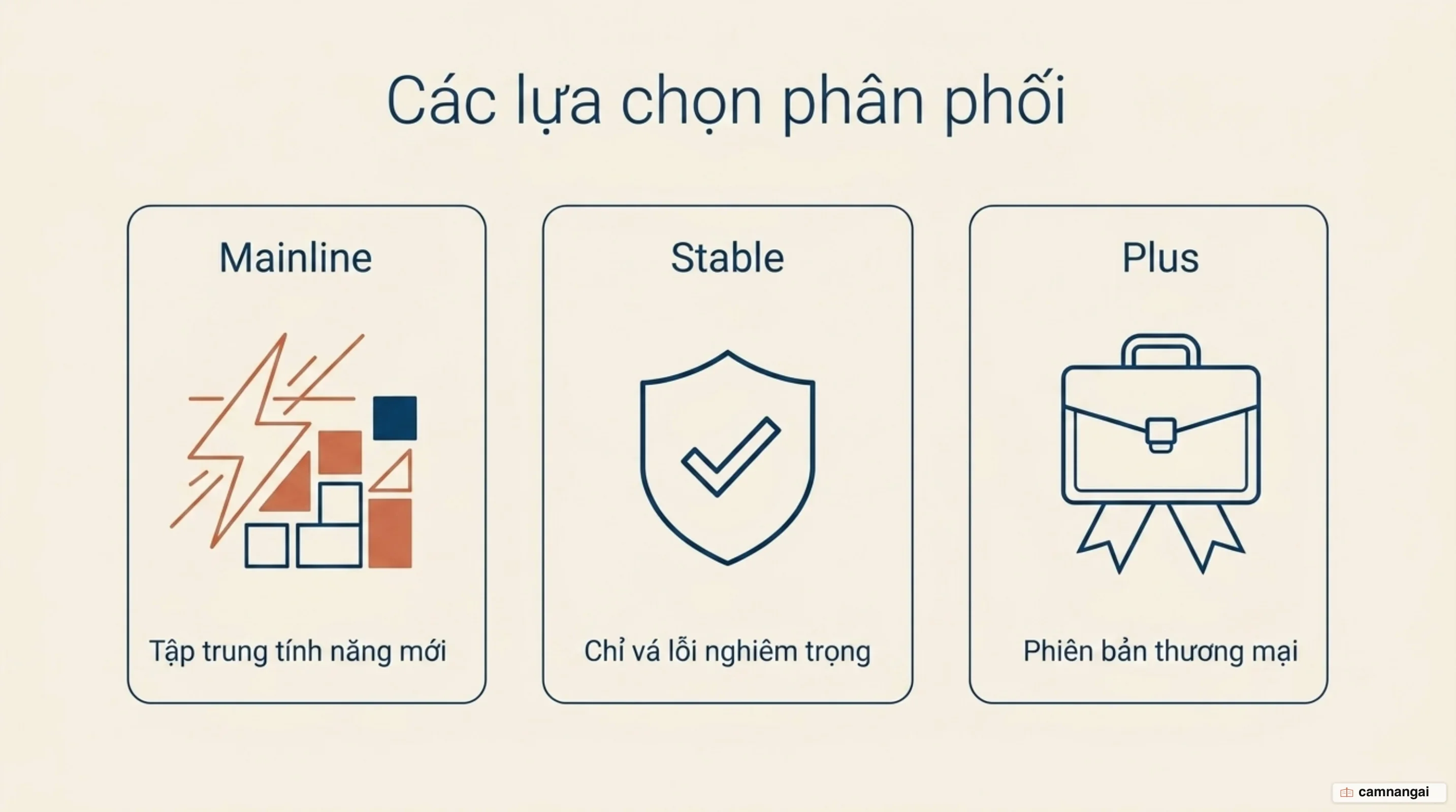 Ba lựa chọn bản Nginx đặt cạnh nhau: mainline cho tính năng mới, stable cho bản vá lỗi nghiêm trọng, NGINX Plus cho tính năng thương mại