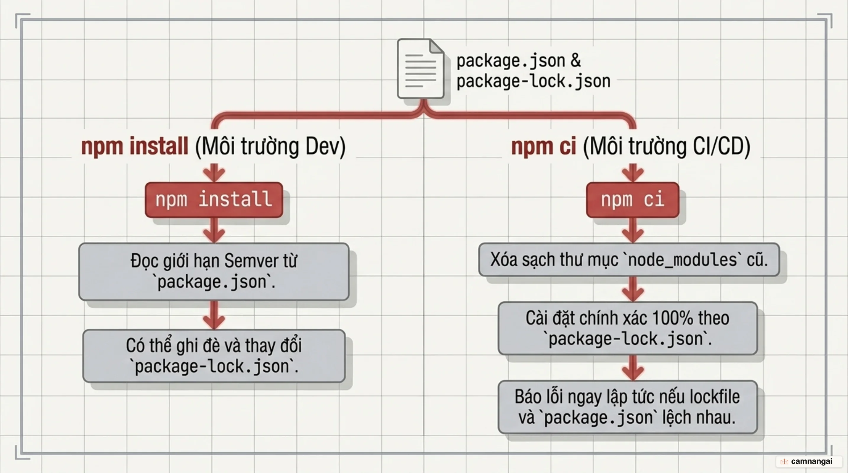 npm install có thể cập nhật lockfile, còn npm ci xoá node_modules và cài đúng theo lockfile