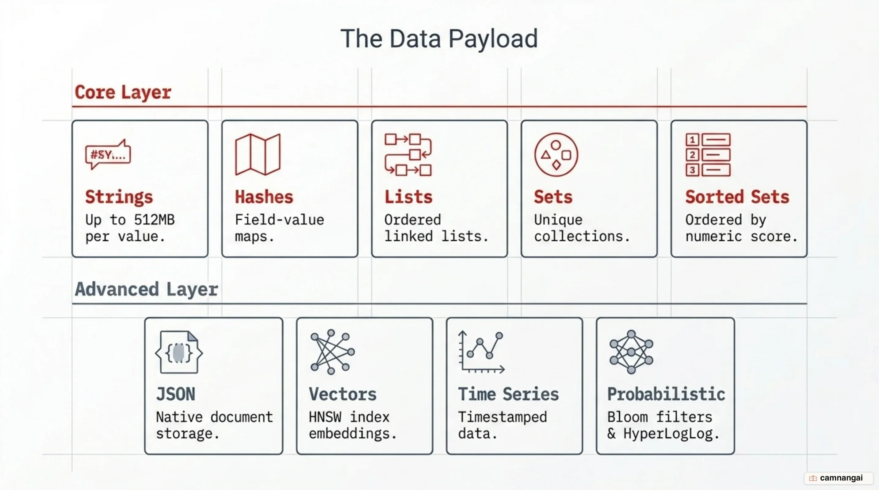 Redis data types: Strings, Hashes, Lists, Sets and Sorted Sets alongside JSON, Vector Sets, Time Series and probabilistic types