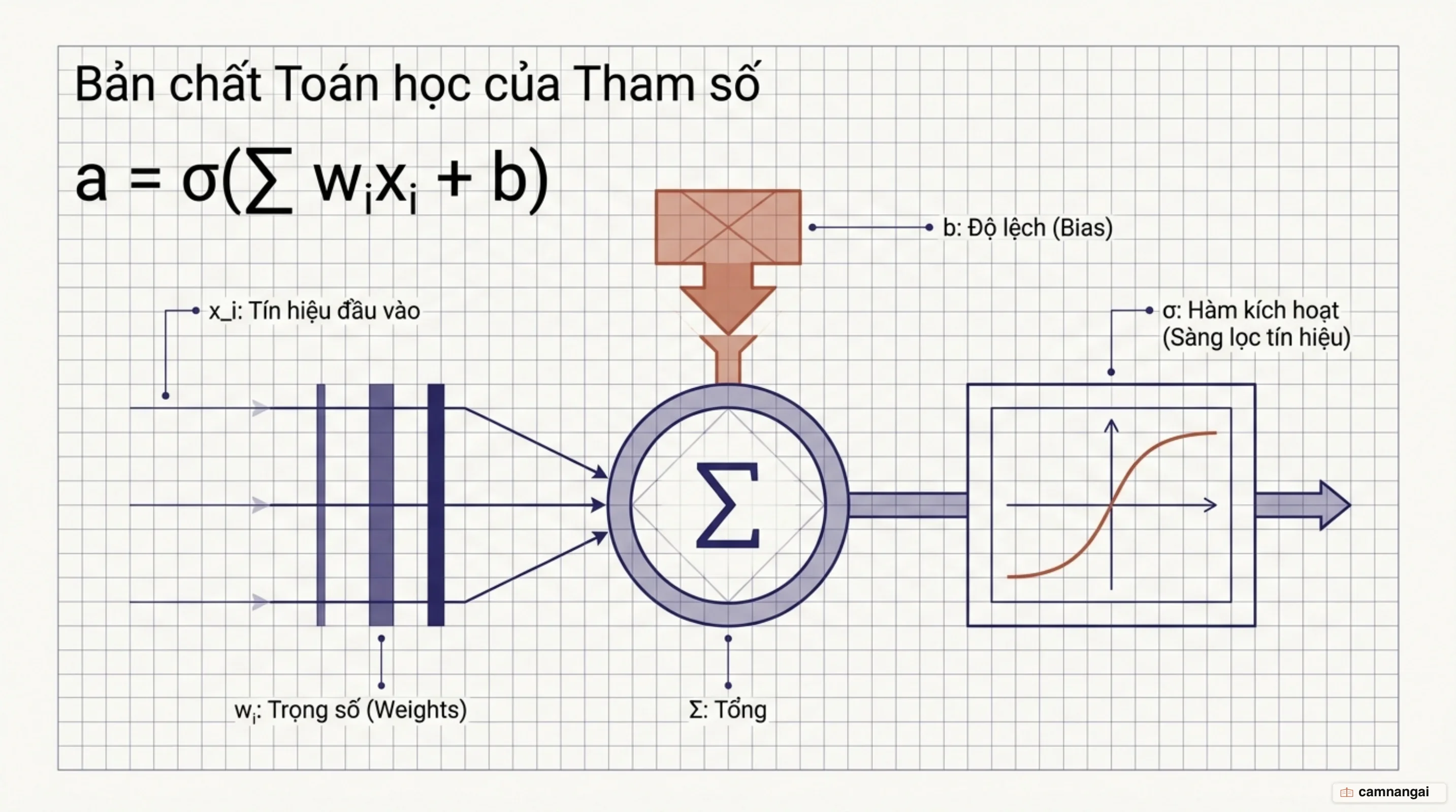 Cấu trúc nơ-ron nhân tạo với các trọng số khuếch đại tín hiệu và độ lệch dịch chuyển ngưỡng kích hoạt