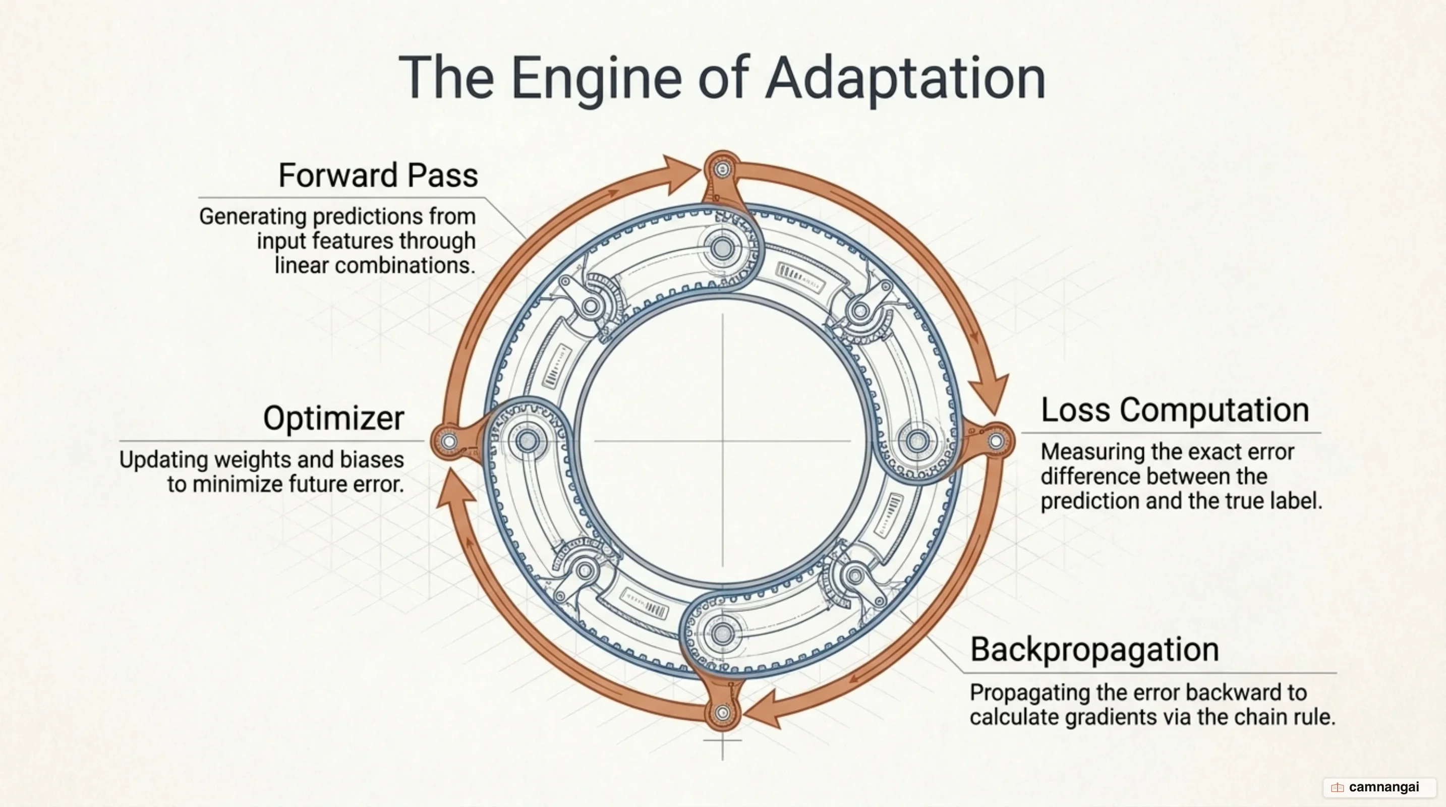Training feedback loop depicting forward pass loss computation backpropagation and gradient-based weight updates