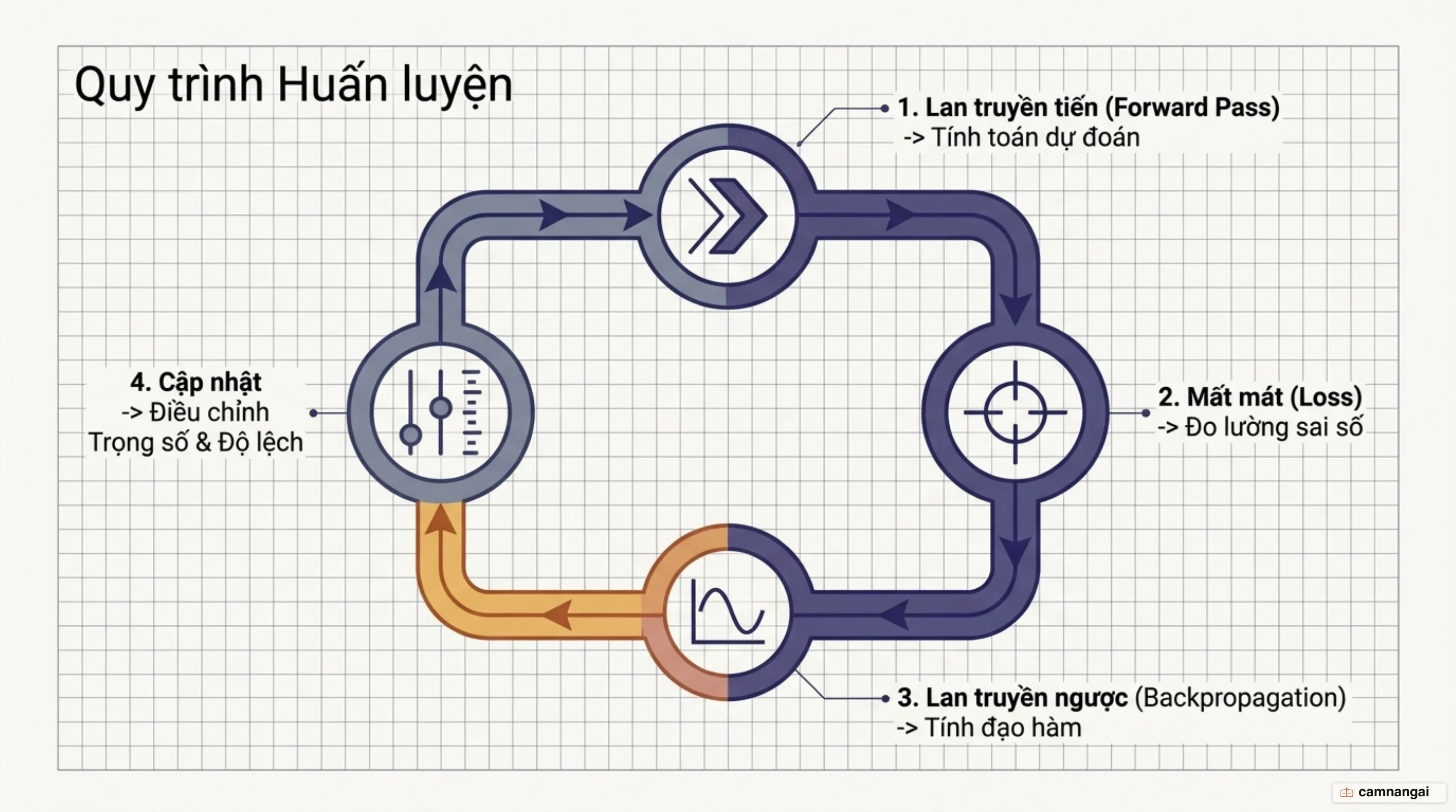 Vòng lặp huấn luyện tham số qua lan truyền tiến tính toán mất mát lan truyền ngược và cập nhật trọng số