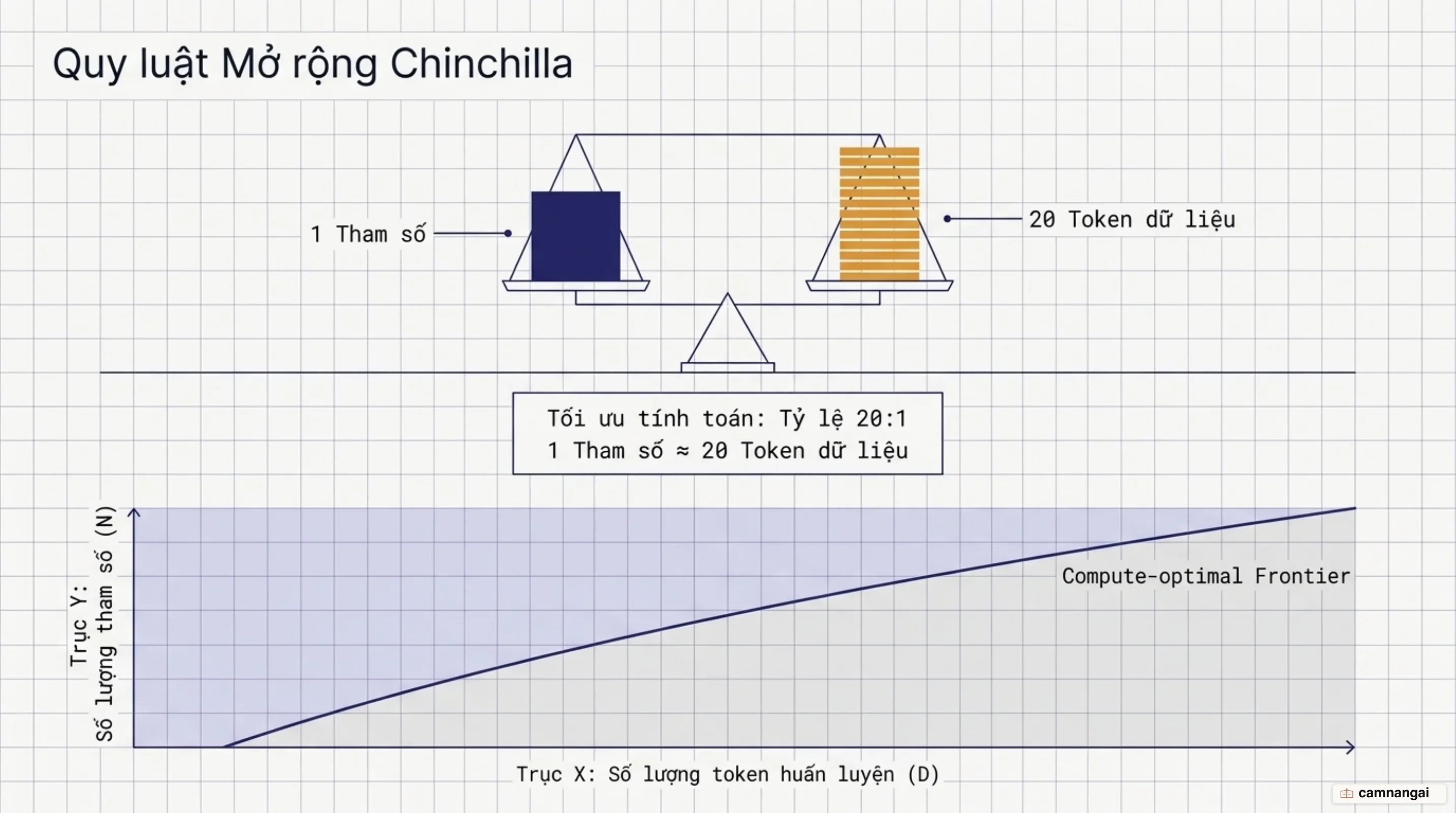 Đồ thị quy luật mở rộng Chinchilla tối ưu hóa tương quan giữa số lượng tham số và số lượng token huấn luyện