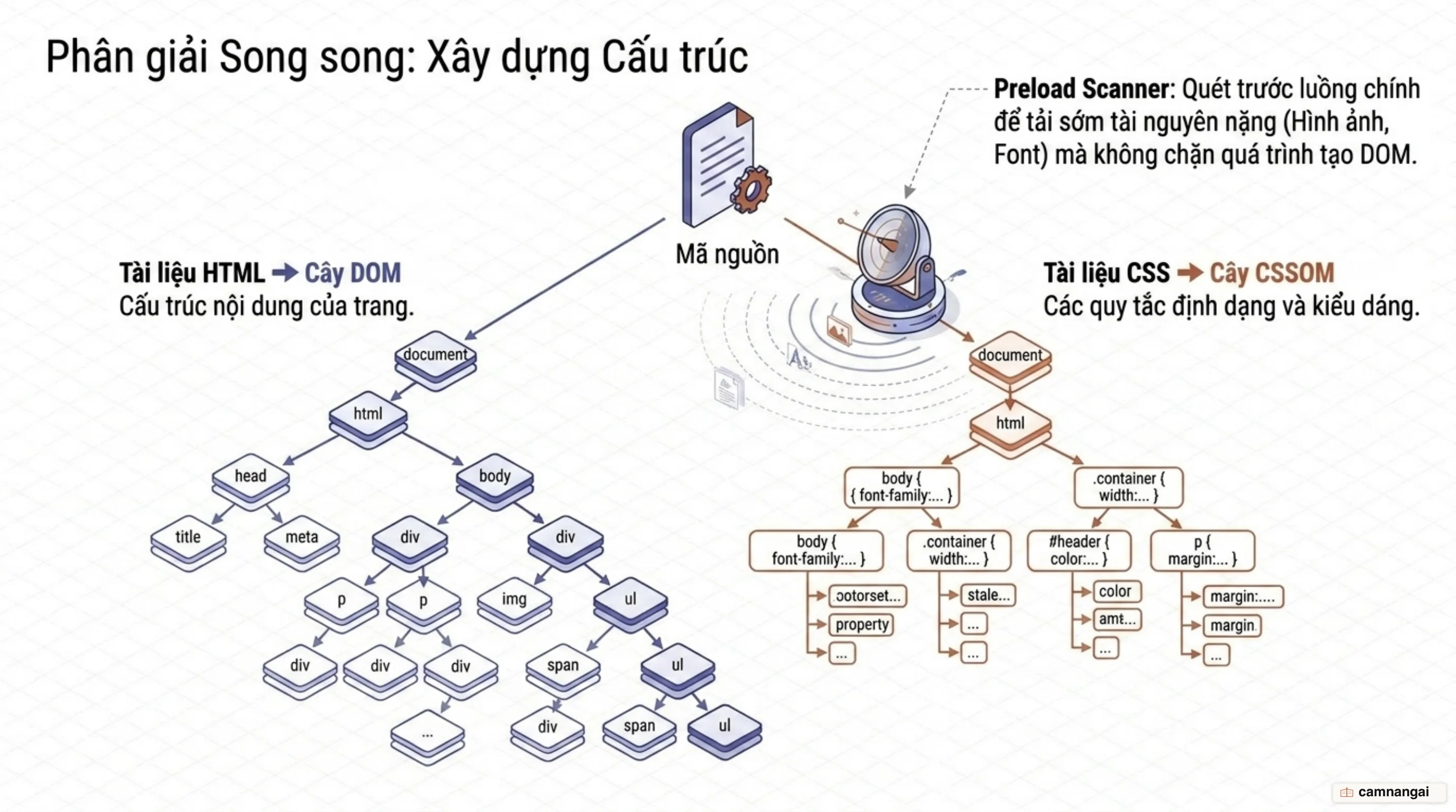 Trình duyệt đọc HTML và CSS song song thành hai cây riêng biệt là DOM và CSSOM, trong khi preload scanner chạy trước để tải sớm tài nguyên ưu tiên