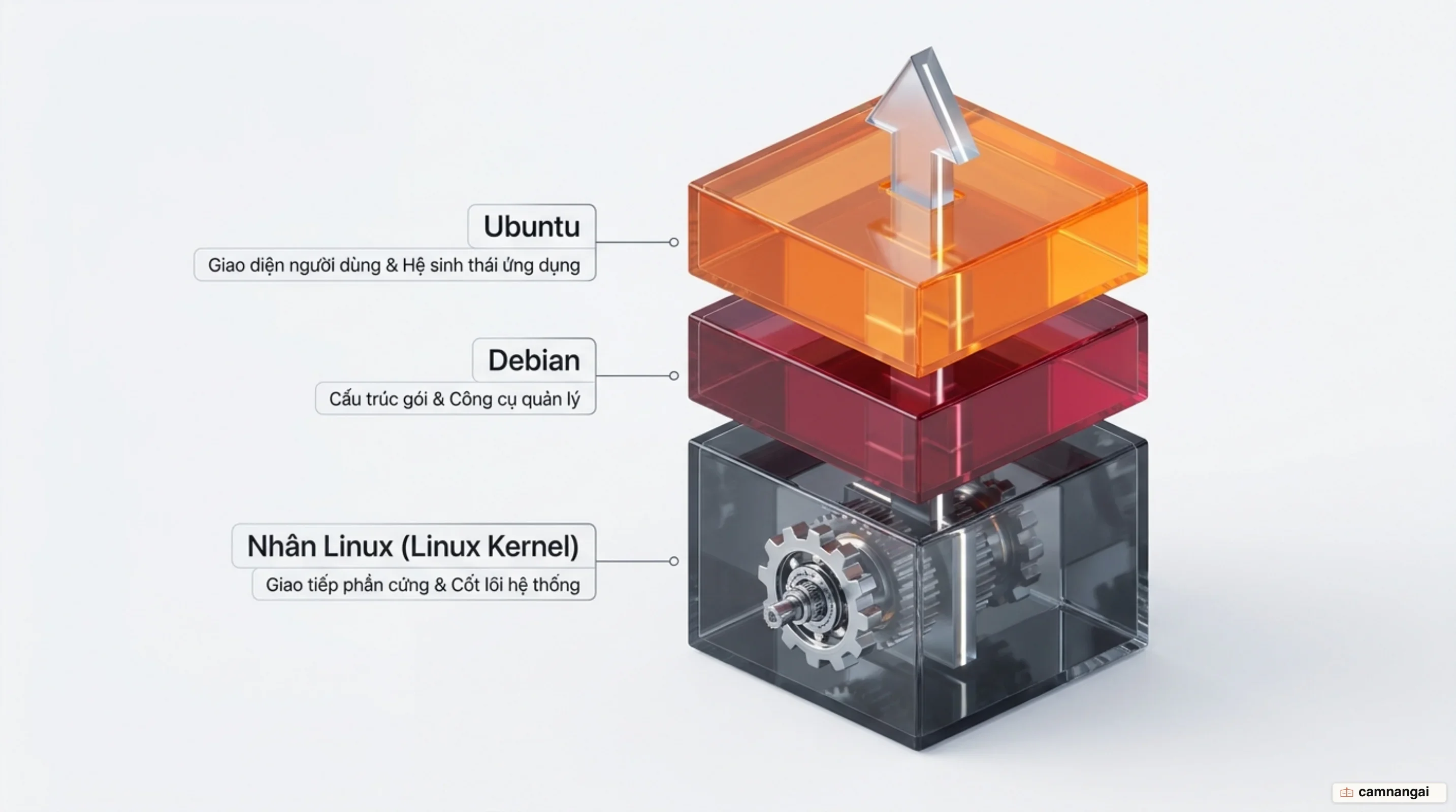 Ba lớp xếp chồng lên nhau: nhân Linux ở dưới cùng, Debian ở giữa và Ubuntu trên cùng