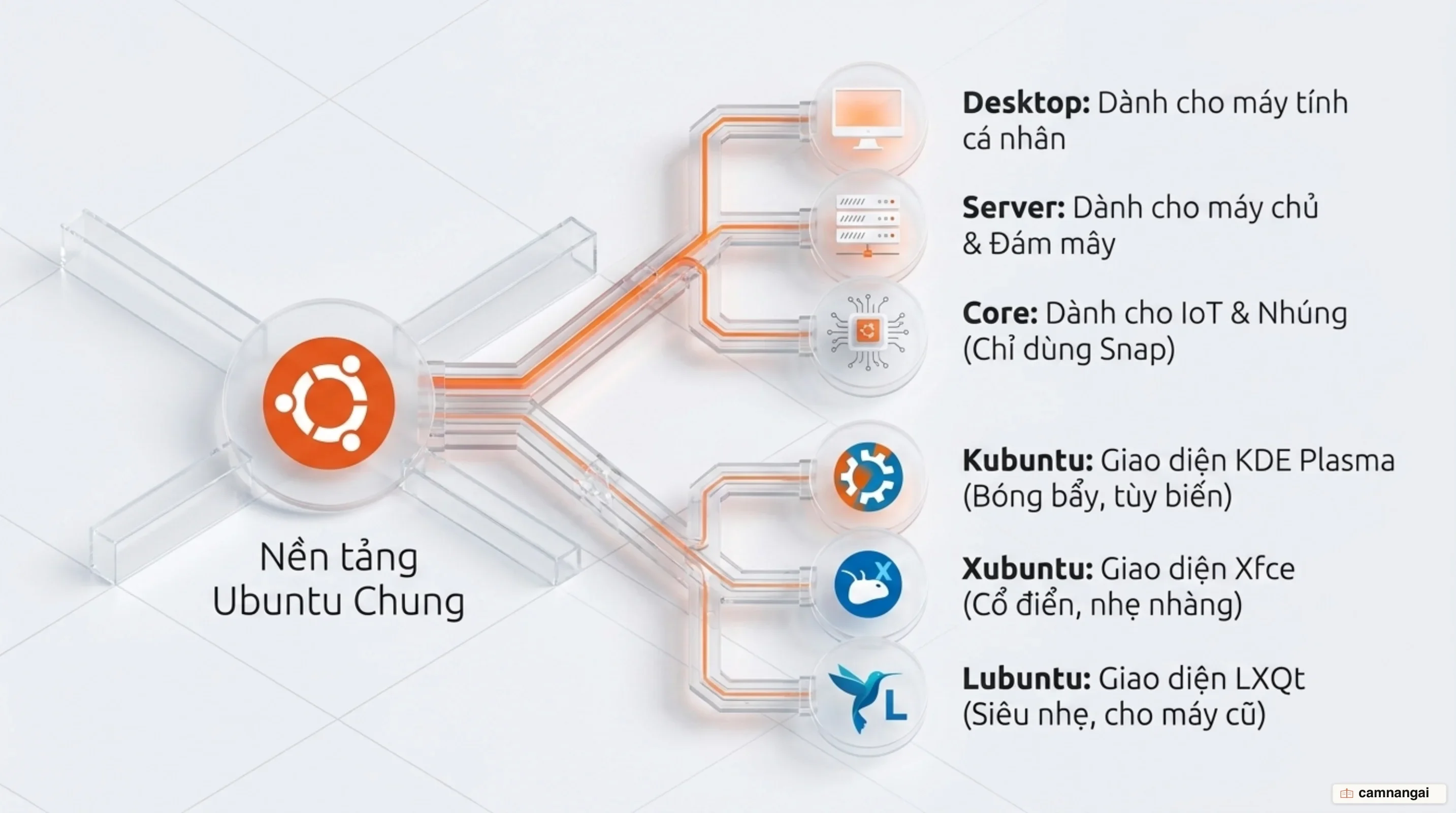 Ba bản Ubuntu Desktop, Server và Core cùng các flavor Kubuntu, Xubuntu, Lubuntu tách nhánh từ một nền tảng chung